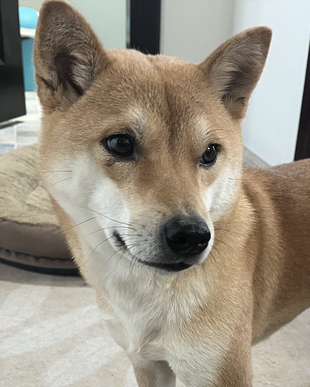 Before 电影级光影写真